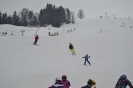 Faschings-Kinder-Skikurs 2014