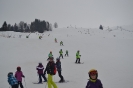 Faschings-Kinder-Skikurs 2014