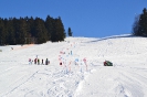 Faschings-Kinder-Skikurs 2015