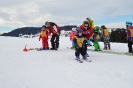 Faschings-Kinder-Skikurs 2015