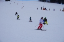 Faschings-Kinder-Skikurs 2015