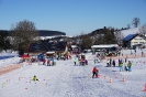 Faschings-Kinder-Skikurs 2015